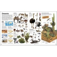 Picturepedia: an encyclopedia on every page