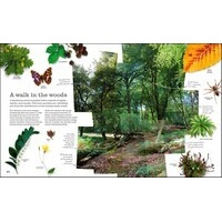 Chris Packham's Nature Handbook: Explore the Wonders of the Natural World