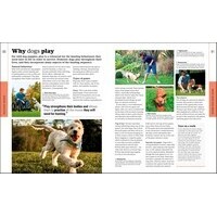 Beginner's Dog Training Guide