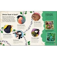 Children's Book of Birdwatching