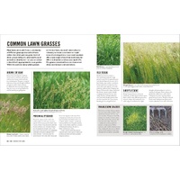 Grow Lawns: Essential Know-how and Expert Advice for Gardening Success