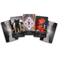 Starlight Frequencies Oracle: The Knowledge You Seek is Seeking You