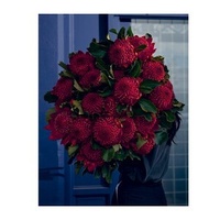 Bush Flowers: Australian flowers and foliage for decoration and design