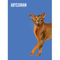 Heads & Tails: Cat Memory Cards: Match up iconic cats