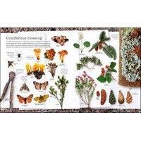 Chris Packham's Nature Handbook: Explore the Wonders of the Natural World