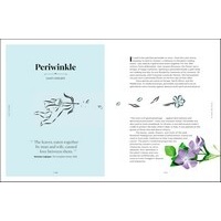 Secret Language of Flowers, The
