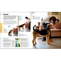 Beginner's Dog Training Guide