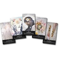 Starlight Frequencies Oracle: The Knowledge You Seek is Seeking You