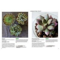 Field Guide to Succulents, A: forColors, Shapes and Characteristics for Over 200 Amazing Varieties