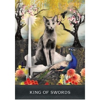 Grimalkin's Curious Cats Tarot: An 80-Card Deck and Guidebook