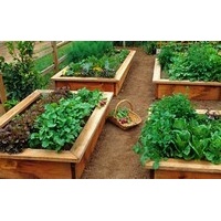 Healthy Garden Book