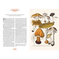 Kew - The Magic of Mushrooms