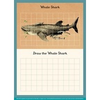 Oceanarium Activity