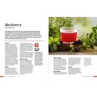 Wild Tea: Brew Your Own Infusions from Home-grown and Foraged Ingredients