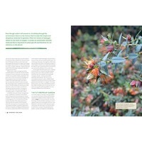 Futureproof Your Garden: Environmentally sustainable ways to grow more with less