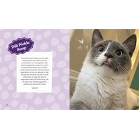This is not my cat: Feline friends who picked their humans