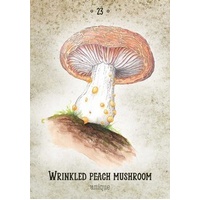 Mushroom Spirit Oracle