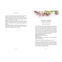 Essential Oils - Your Aromatherapy Guide