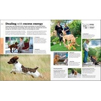 Beginner's Dog Training Guide