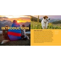 Every Dog Deserves an Adventure