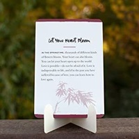 Everyday Peace Cards: 108 Mindfulness Meditations