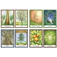 Tree Angel Oracle Deck: The Ancient Path into the Sacred Grove