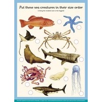 Oceanarium Activity
