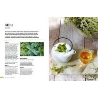 Wild Tea: Brew Your Own Infusions from Home-grown and Foraged Ingredients