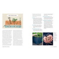 Futureproof Your Garden: Environmentally sustainable ways to grow more with less