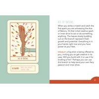 Squid Cake Marseille Tarot