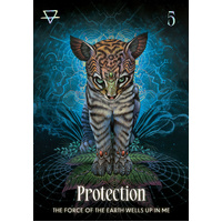 Shamanic Oracle - Connect To The Medicine Of The Earth