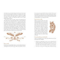 Crystal Shamanism: Sacred earth medicine healings