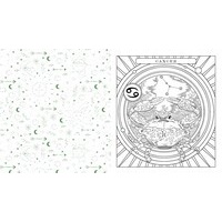 Astrology Colouring Book