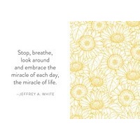 Recharge [Mini Book]: Meditations & Inspirations