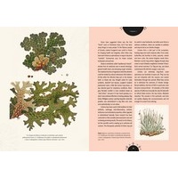 Kew - The Magic of Mushrooms