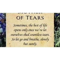 Druid Wisdom