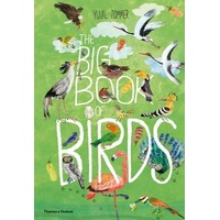 Big Book of Birds