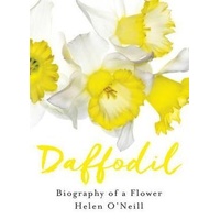 Daffodil