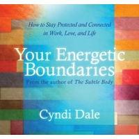 CD: Your Energetic Boundaries (6CDs)