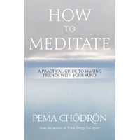 How to Meditate: A Practical Guide to Making Friends with Your Mind