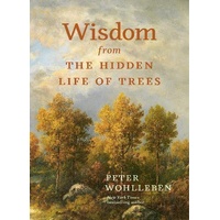 Wisdom from the Hidden Life of Trees