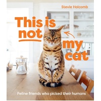 This is not my cat: Feline friends who picked their humans