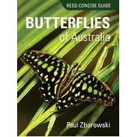 Reed Concise Guide to Butterflies of Australia: Reed Concise Guide