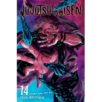 Jujutsu Kaisen  Vol. 14
